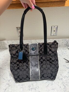 Coach Signature Python Stripe Tote